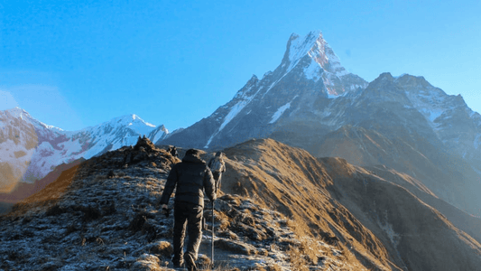 Hikers trekking towards Mardi Himal with stunning mountain views in the background - 4 Day Mardi Himal Base Camp Trek - Adventure Compass Blog By Global Trekker.