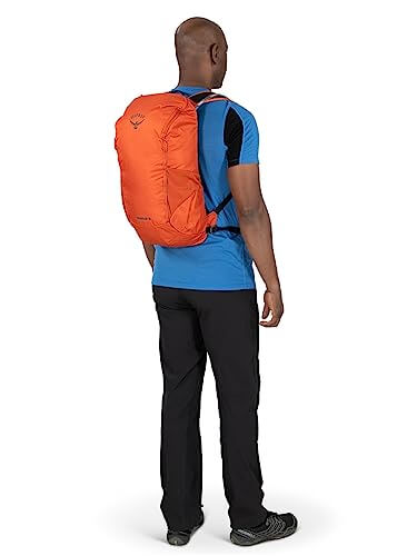 Image Showing Osprey Skarab Men's Hiking Backpack with Hydration Reservoir - Product Type Backpack - Buy Now $172.06 - Adventure Gear from Global Trekker