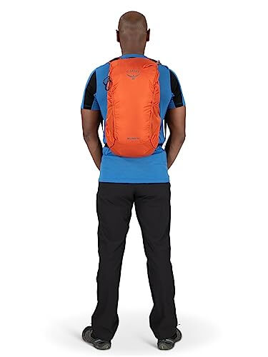 Image Showing Osprey Skarab Men's Hiking Backpack with Hydration Reservoir - Product Type Backpack - Buy Now $172.06 - Adventure Gear from Global Trekker